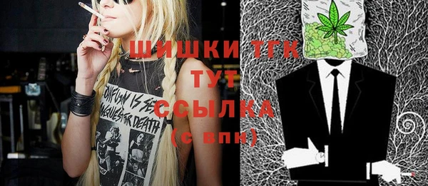 мдпв Инсар