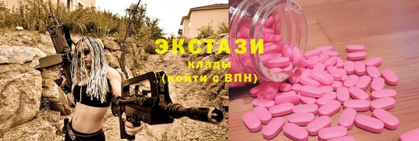 индика Иннополис