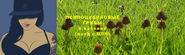 мяу мяу мука Абинск
