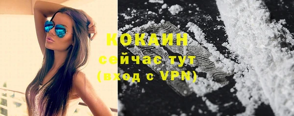 скорость Алексин