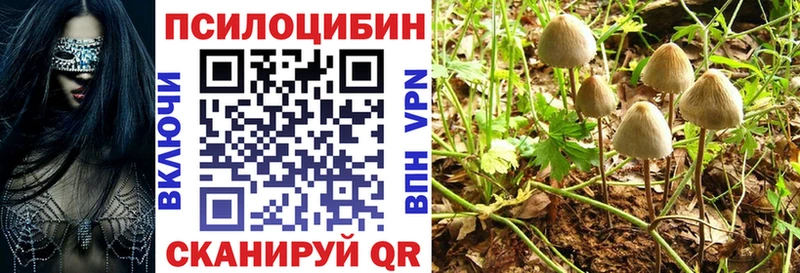 кракен зеркало  Томари  Галлюциногенные грибы мицелий 