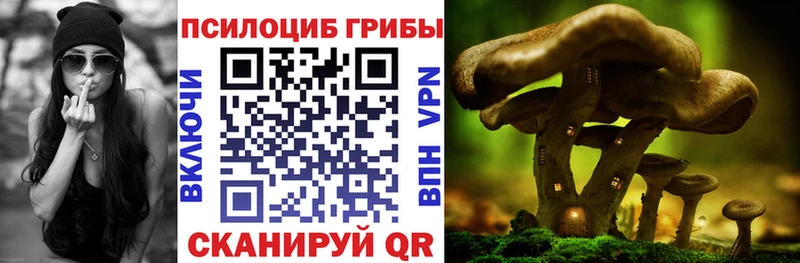 Галлюциногенные грибы Psilocybine cubensis Томари